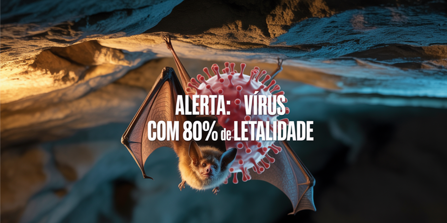 Ilustração Cortesia Editorial Ideia